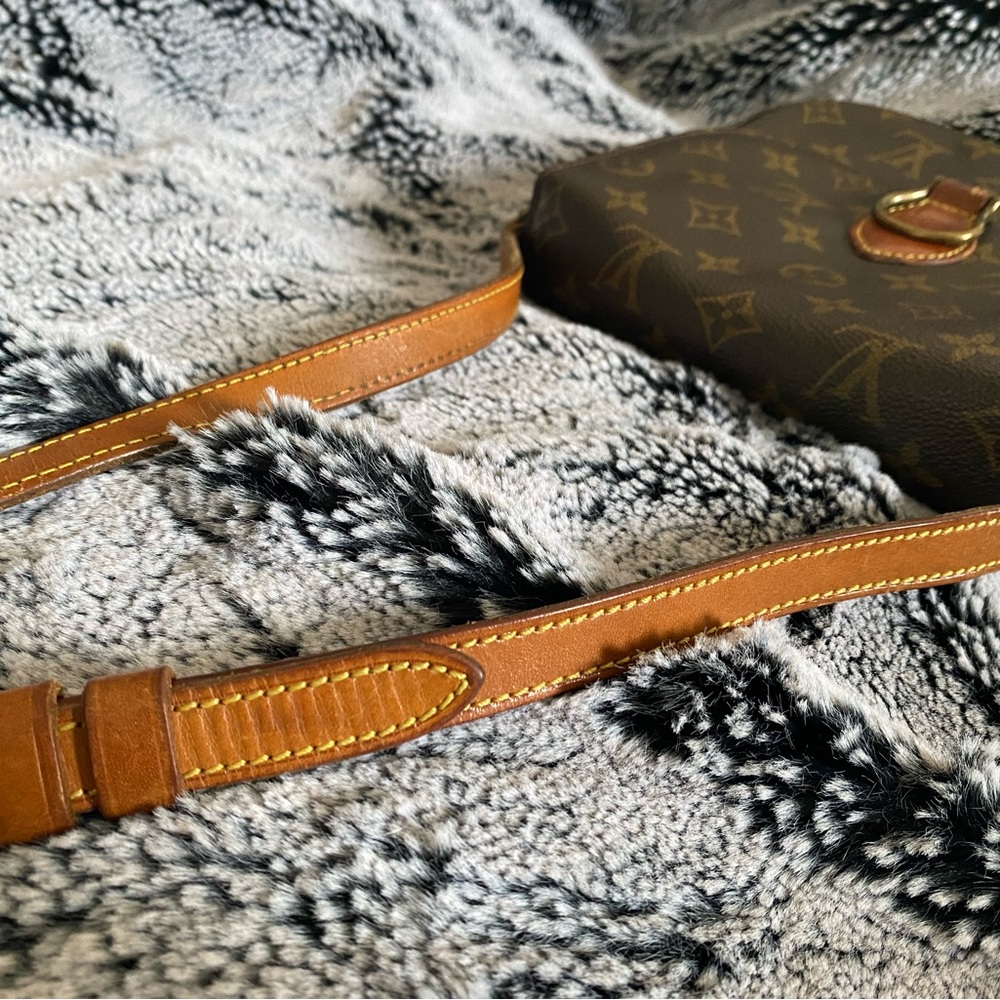 Louis Vuitton Saint Cloud Crossbody Bag - Picture 15 of 16
